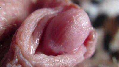 Huge Clit close-up - sunporno.com